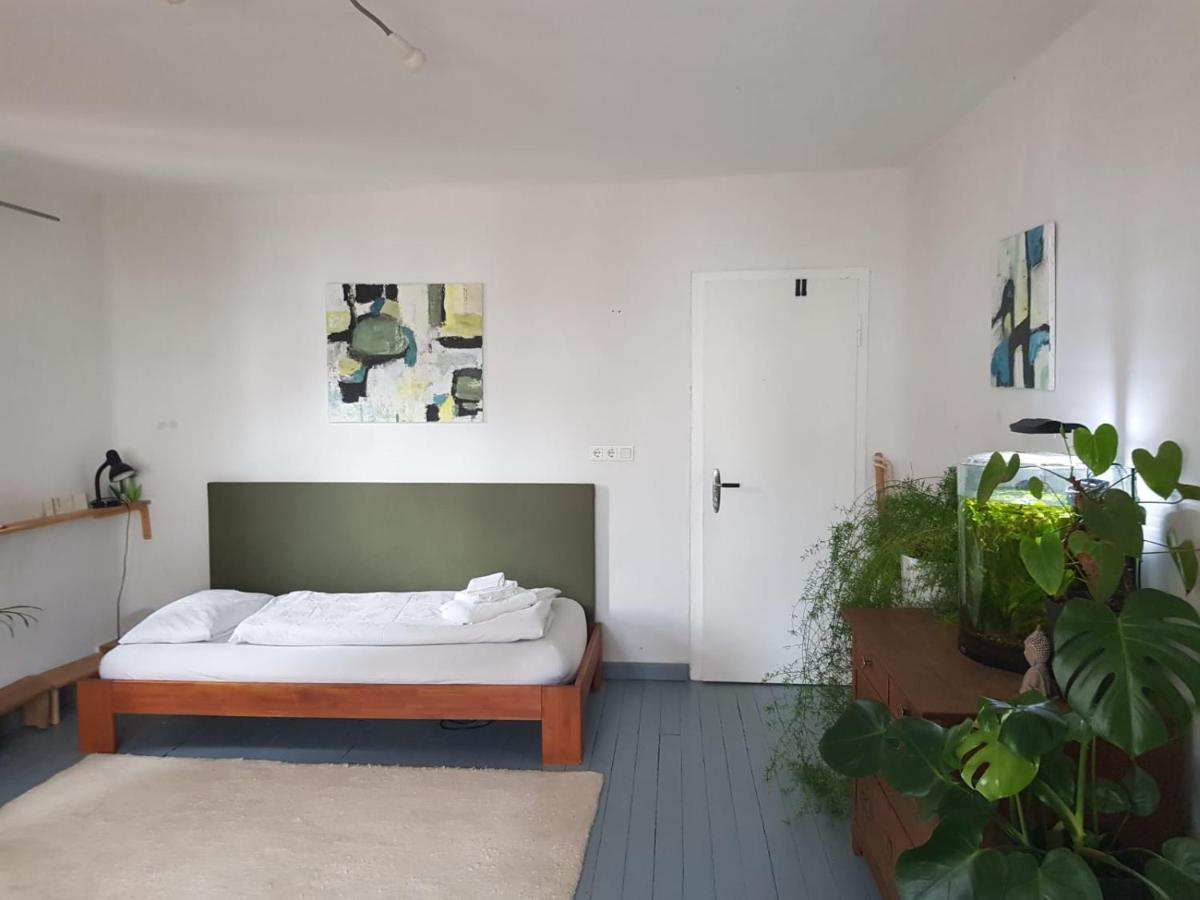 Aeltestes Haus In Quentel - Ferienwohnung 2 Mit Dachterrasse Lichtenau 外观 照片
