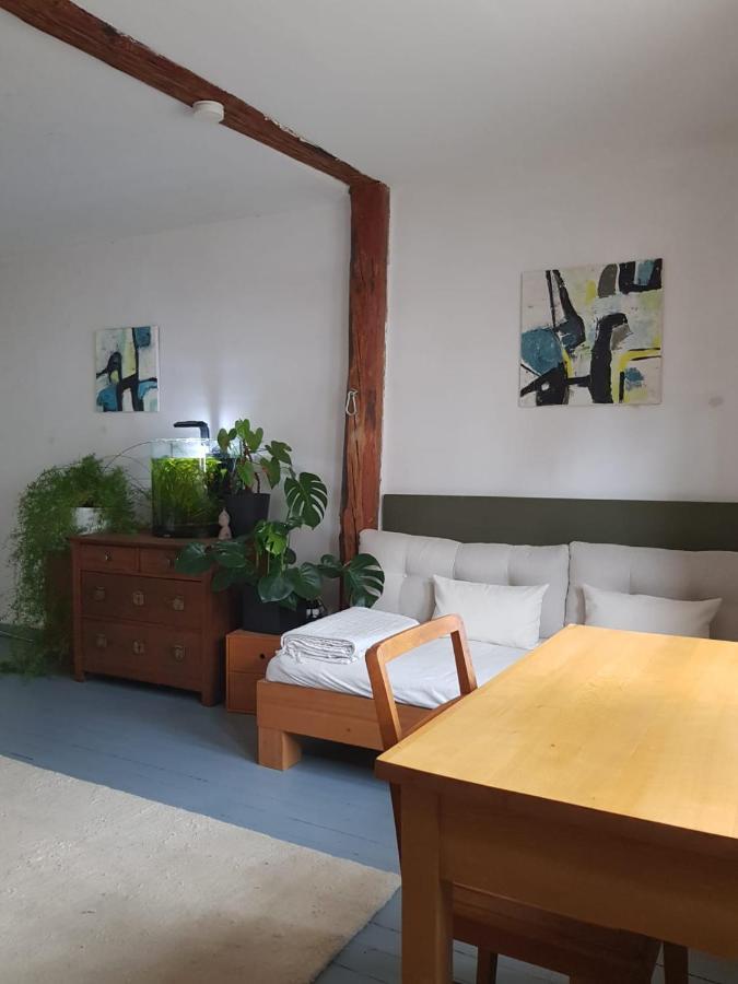 Aeltestes Haus In Quentel - Ferienwohnung 2 Mit Dachterrasse Lichtenau 外观 照片